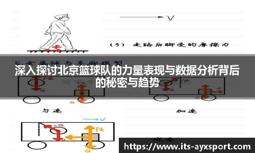 深入探讨北京篮球队的力量表现与数据分析背后的秘密与趋势